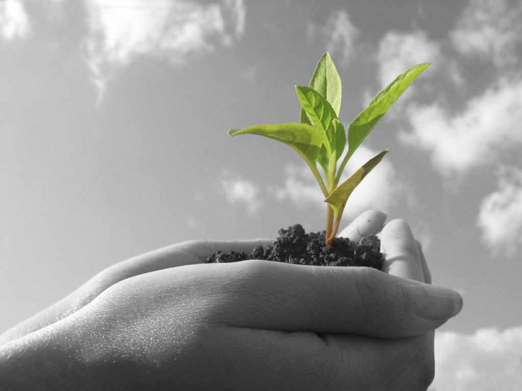 planting new churches